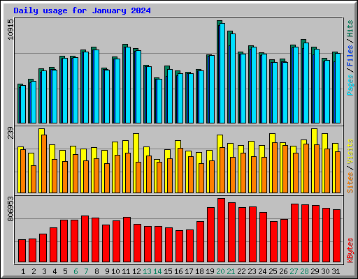 Daily usage for January 2024