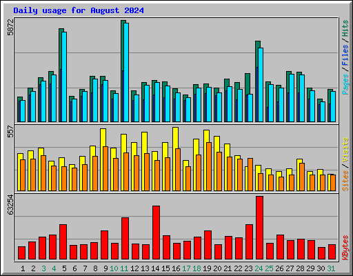 Daily usage for August 2024