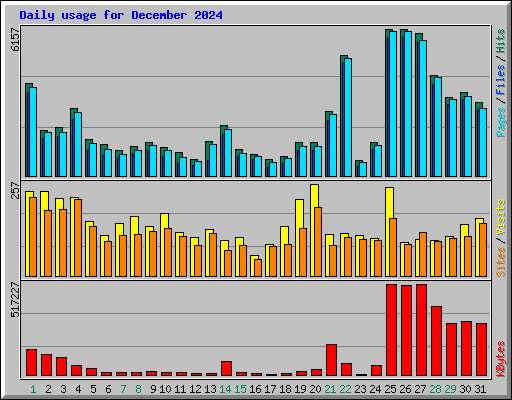 Daily usage for December 2024