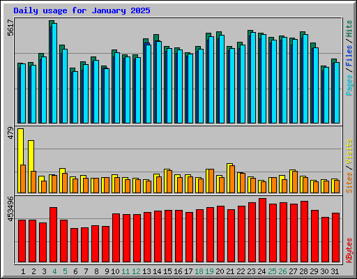 Daily usage for January 2025