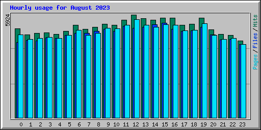 Hourly usage for August 2023