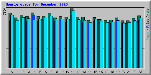 Hourly usage for December 2023