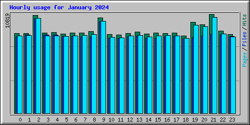 Hourly usage for January 2024