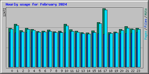 Hourly usage for February 2024