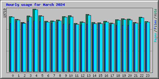 Hourly usage for March 2024