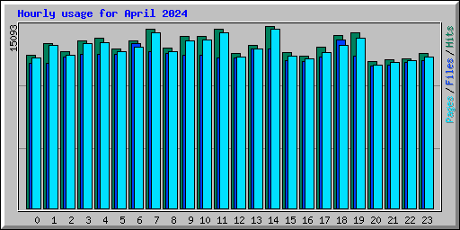 Hourly usage for April 2024