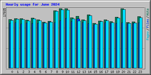 Hourly usage for June 2024