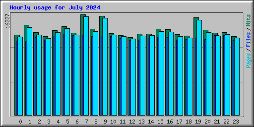 Hourly usage for July 2024