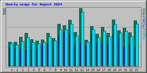 Hourly usage for August 2024