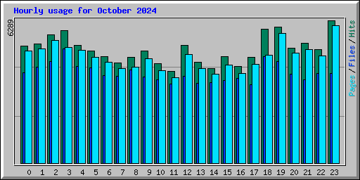 Hourly usage for October 2024