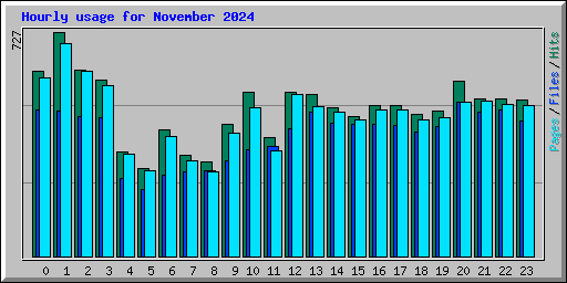 Hourly usage for November 2024