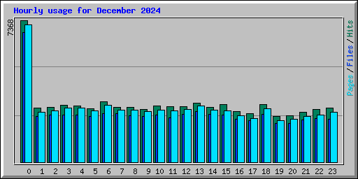 Hourly usage for December 2024