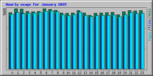 Hourly usage for January 2025