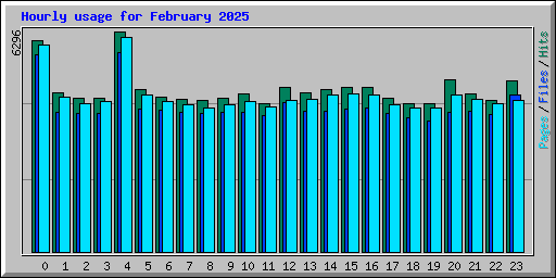 Hourly usage for February 2025