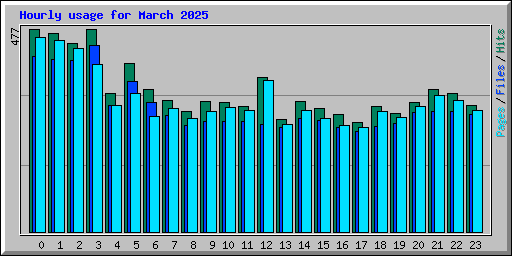 Hourly usage for March 2025