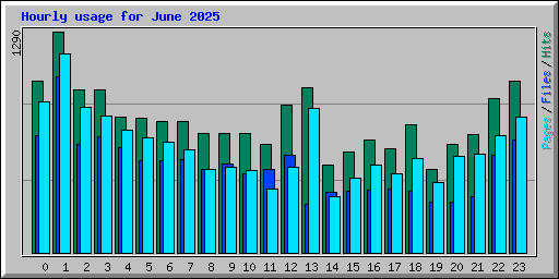 Hourly usage for June 2025