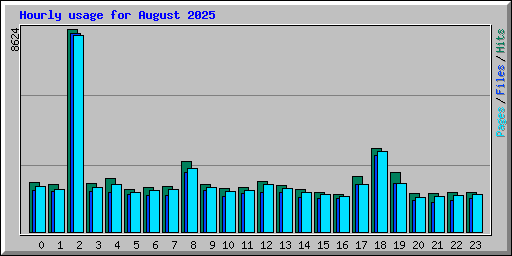 Hourly usage for August 2025
