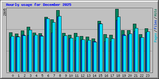 Hourly usage for December 2025