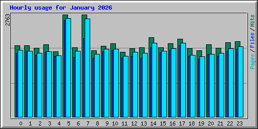 Hourly usage for January 2026