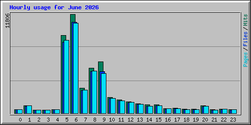 Hourly usage for June 2026