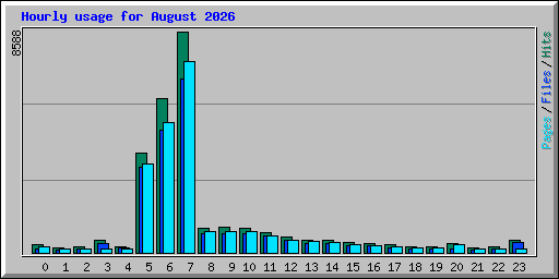 Hourly usage for August 2026